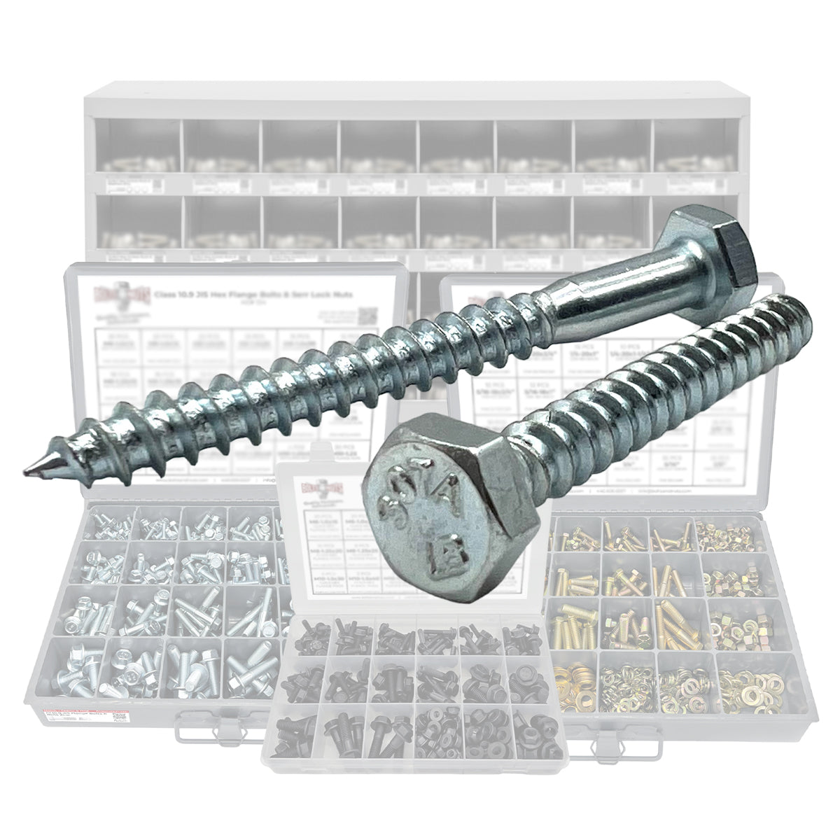 Bagged Lag Screws