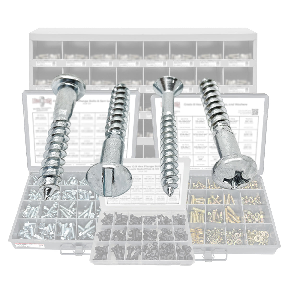 Bagged Wood Screws