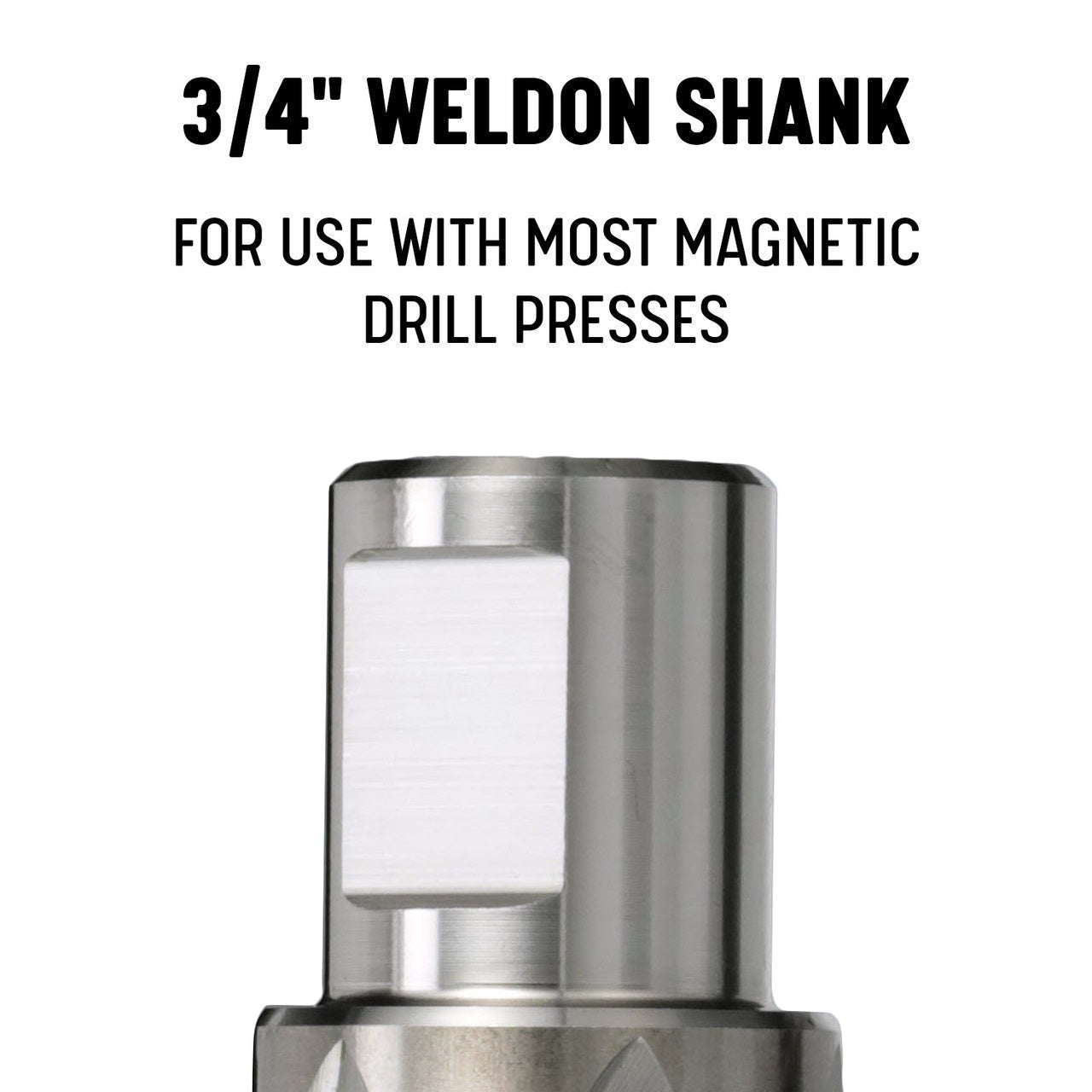 1/2" X 1" HSS Annular Cutter with Pilot Pin