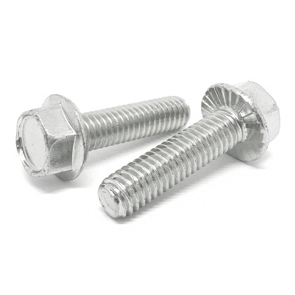 1/4-20x1" 18-8 Stainless Steel Serrated Hex Flange Bolts
