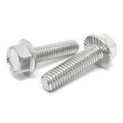 5/16-18x5/8" 18-8 Stainless Steel Serrated Hex Flange Bolts